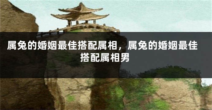 属兔的婚姻最佳搭配属相，属兔的婚姻最佳搭配属相男