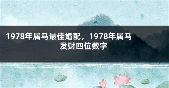 1978年属马最佳婚配，1978年属马发财四位数字