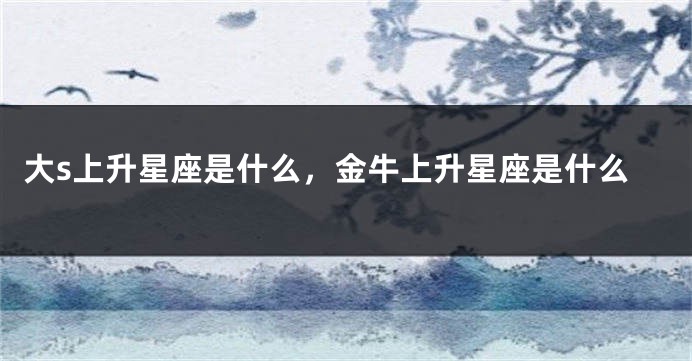 大s上升星座是什么，金牛上升星座是什么