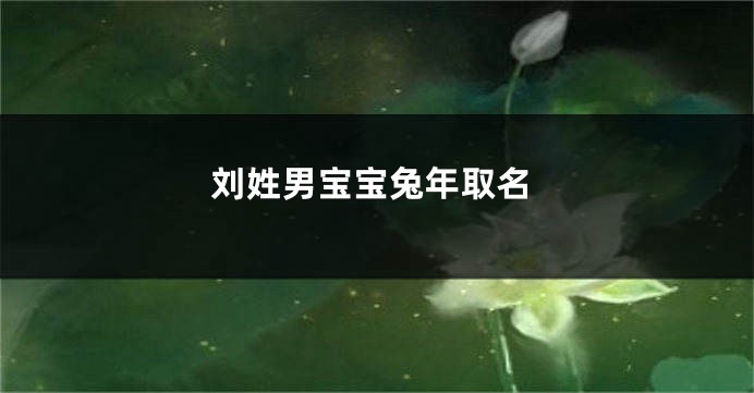 刘姓男宝宝兔年取名