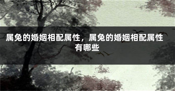 属兔的婚姻相配属性,属兔的婚姻相配属性有哪些