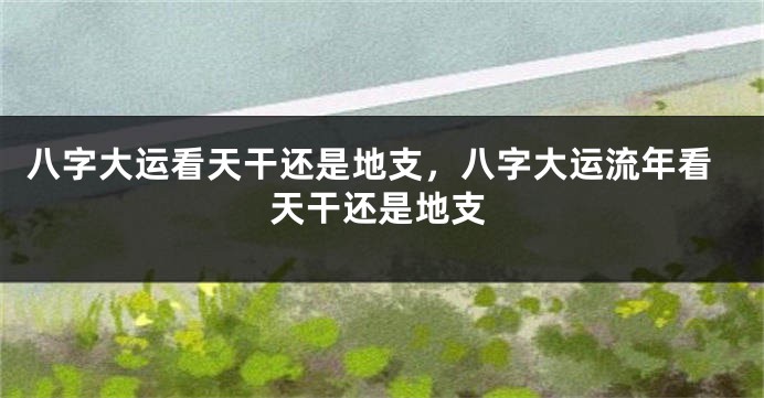 八字大运看天干还是地支，八字大运流年看天干还是地支