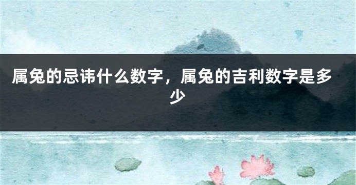 属兔的忌讳什么数字，属兔的吉利数字是多少