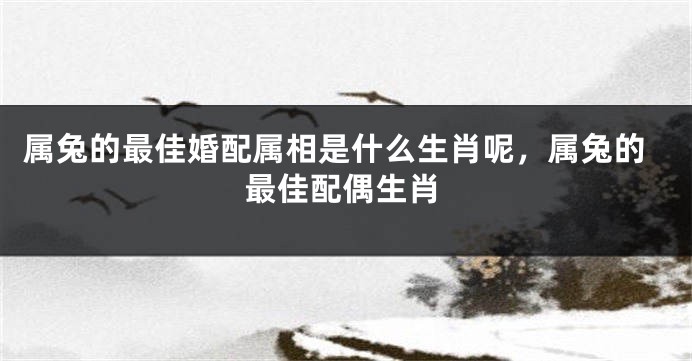 属兔的最佳婚配属相是什么生肖呢,属兔的最佳配偶生肖