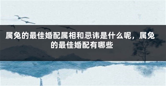 属兔的最佳婚配属相和忌讳是什么呢，属兔的最佳婚配有哪些