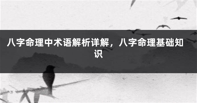 八字命理中术语解析详解，八字命理基础知识
