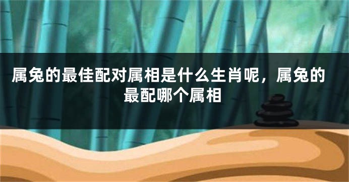 属兔的最佳配对属相是什么生肖呢，属兔的最配哪个属相