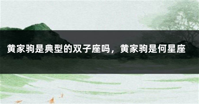 黄家驹是典型的双子座吗，黄家驹是何星座