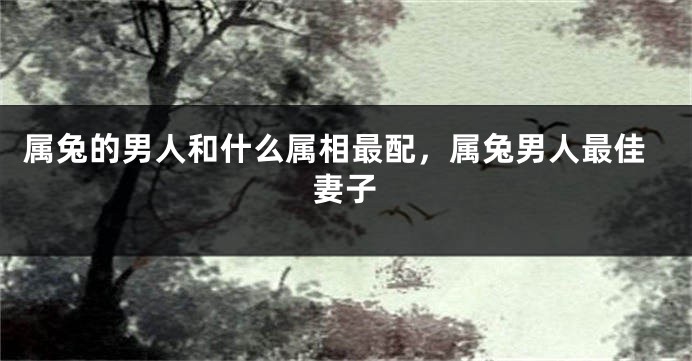 属兔的男人和什么属相最配，属兔男人最佳妻子