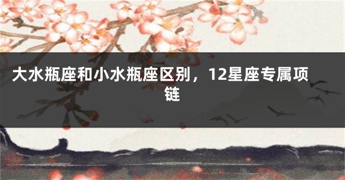 大水瓶座和小水瓶座区别，12星座专属项链