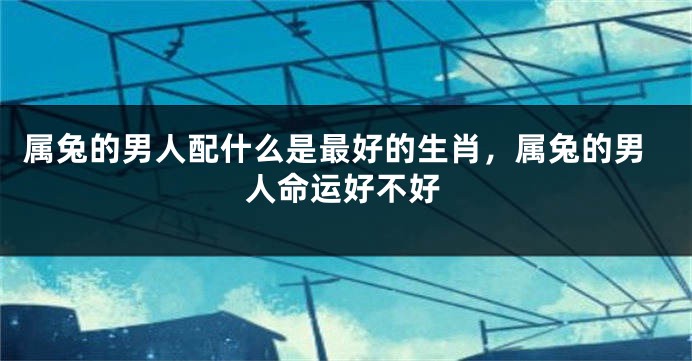 属兔的男人配什么是最好的生肖，属兔的男人命运好不好