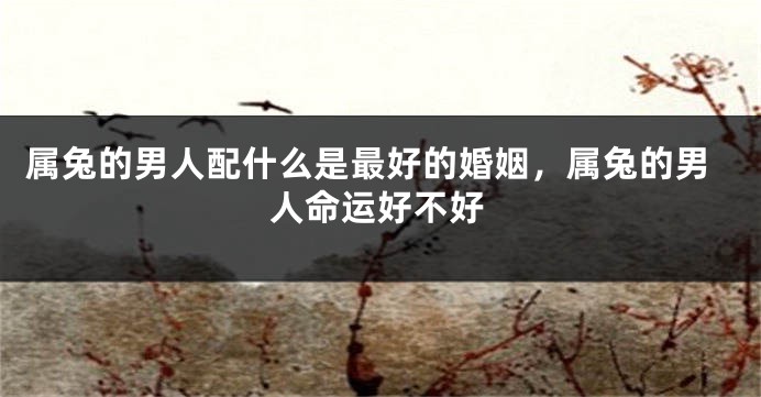 属兔的男人配什么是最好的婚姻，属兔的男人命运好不好