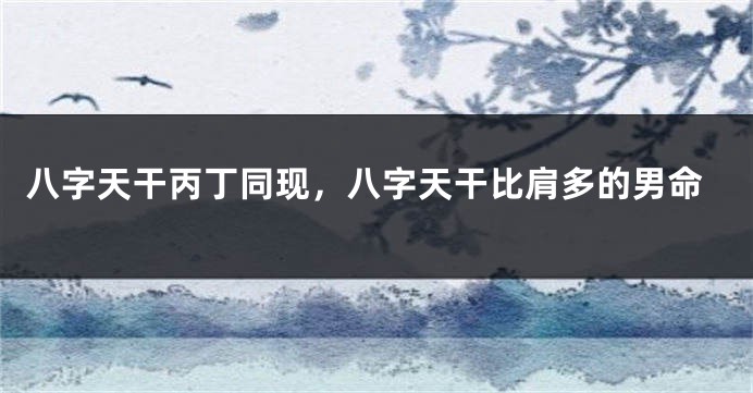 八字天干丙丁同现，八字天干比肩多的男命