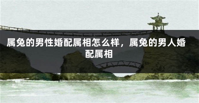 属兔的男性婚配属相怎么样，属兔的男人婚配属相