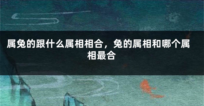 属兔的跟什么属相相合，兔的属相和哪个属相最合