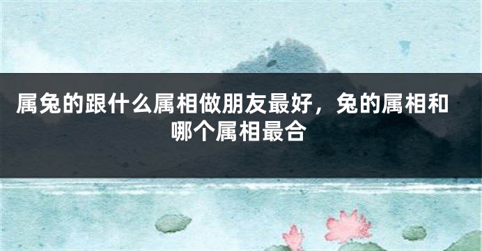 属兔的跟什么属相做朋友最好，兔的属相和哪个属相最合