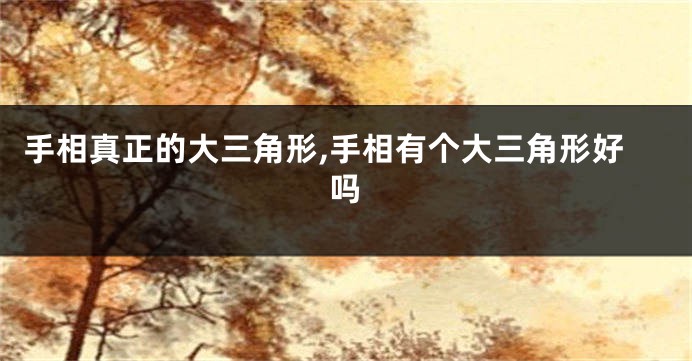 手相真正的大三角形,手相有个大三角形好吗