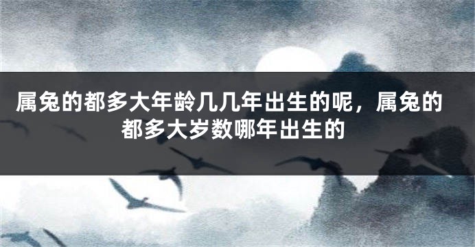 属兔的都多大年龄几几年出生的呢，属兔的都多大岁数哪年出生的