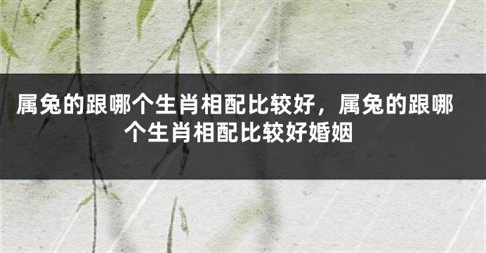 属兔的跟哪个生肖相配比较好，属兔的跟哪个生肖相配比较好婚姻