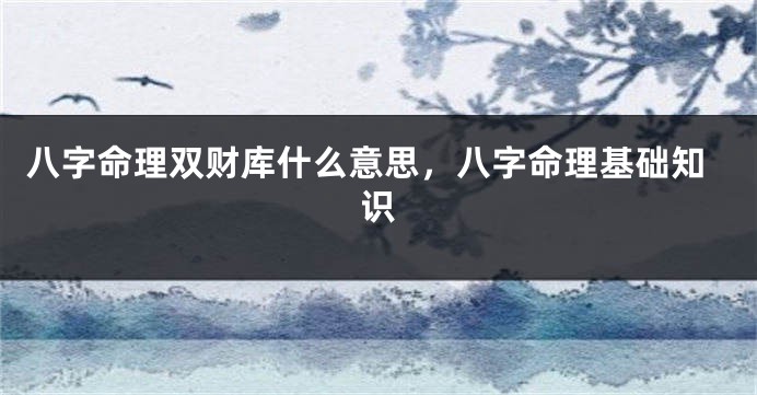 八字命理双财库什么意思，八字命理基础知识