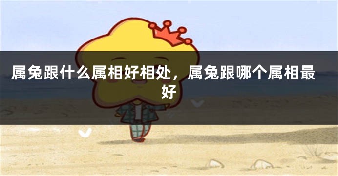 属兔跟什么属相好相处,属兔跟哪个属相最好