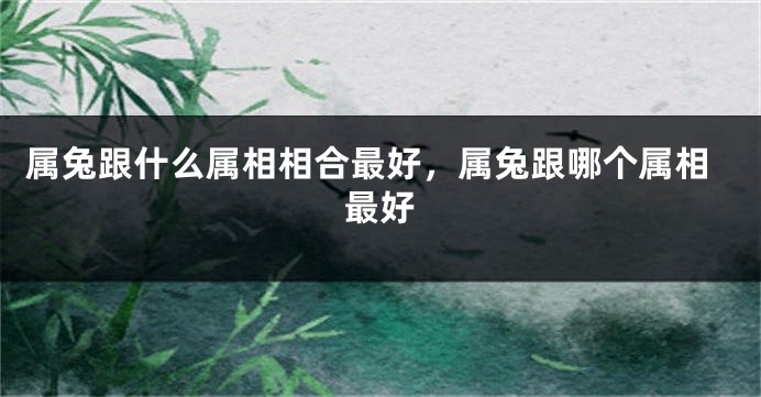 属兔跟什么属相相合最好，属兔跟哪个属相最好