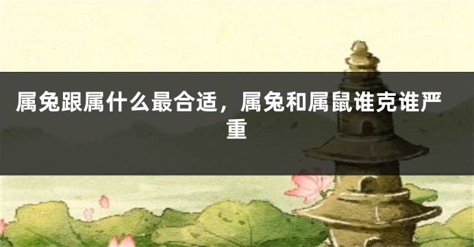 属兔跟属什么最合适，属兔和属鼠谁克谁严重