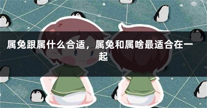 属兔跟属什么合适，属兔和属啥最适合在一起