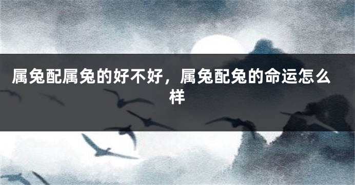 属兔配属兔的好不好，属兔配兔的命运怎么样