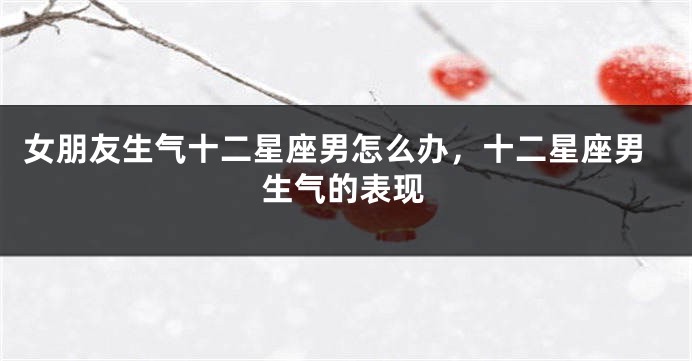 女朋友生气十二星座男怎么办，十二星座男生气的表现