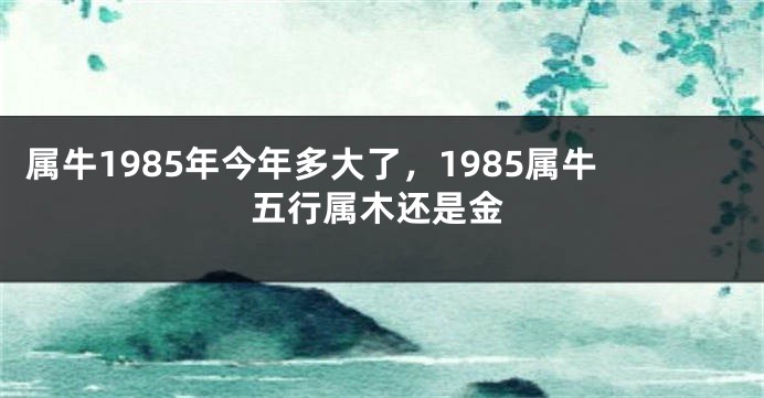 属牛1985年今年多大了，1985属牛五行属木还是金