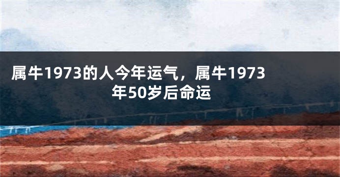 属牛1973的人今年运气，属牛1973年50岁后命运