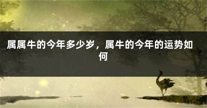 属属牛的今年多少岁，属牛的今年的运势如何