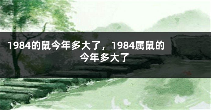 1984的鼠今年多大了，1984属鼠的今年多大了