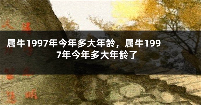 属牛1997年今年多大年龄，属牛1997年今年多大年龄了