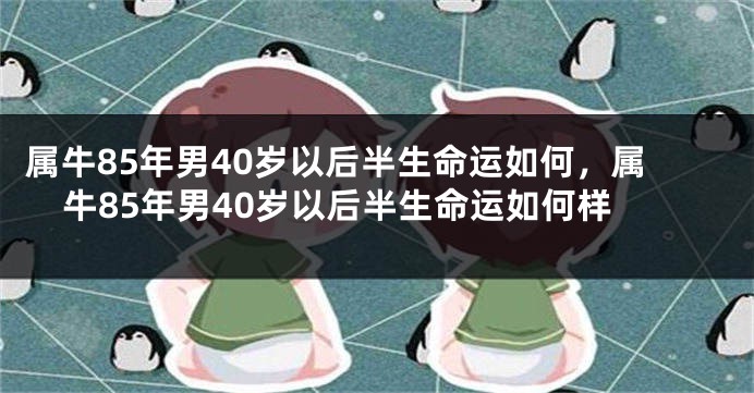 属牛85年男40岁以后半生命运如何,属牛85年男40岁以后半生命运如何样
