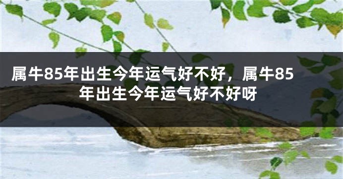 属牛85年出生今年运气好不好，属牛85年出生今年运气好不好呀