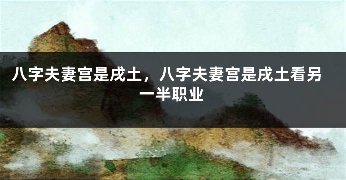 八字夫妻宫是戌土，八字夫妻宫是戌土看另一半职业