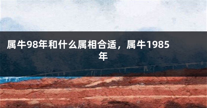属牛98年和什么属相合适，属牛1985年