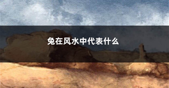 兔在风水中代表什么