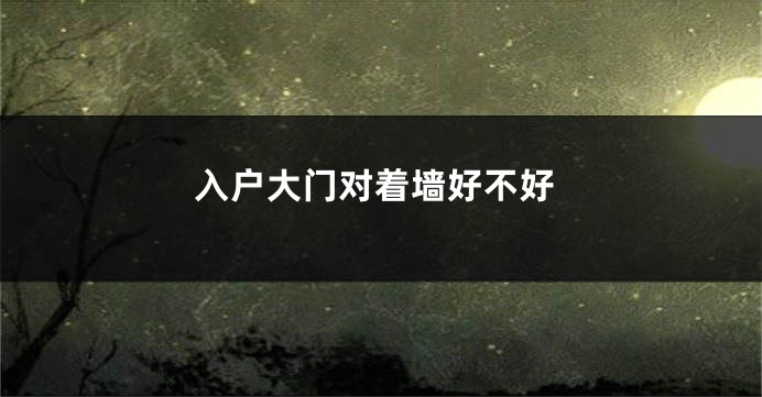 入户大门对着墙好不好