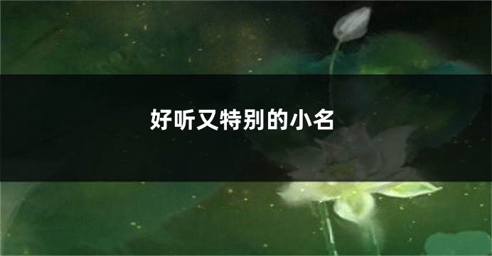 好听又特别的小名
