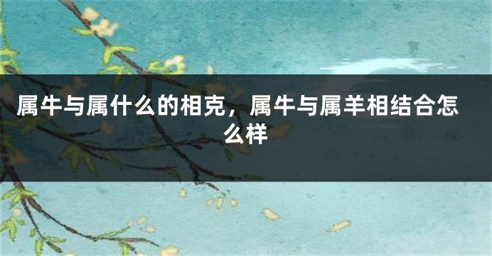 属牛与属什么的相克，属牛与属羊相结合怎么样