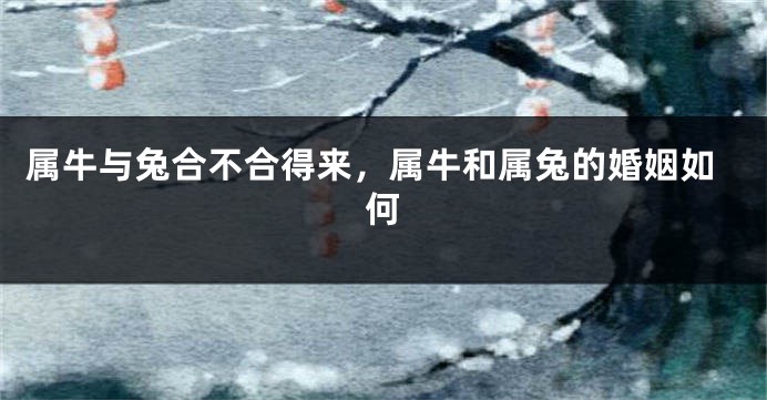 属牛与兔合不合得来，属牛和属兔的婚姻如何