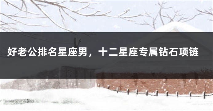 好老公排名星座男，十二星座专属钻石项链
