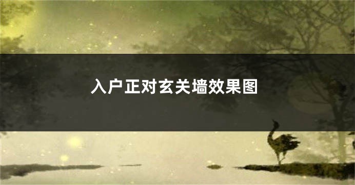 入户正对玄关墙效果图