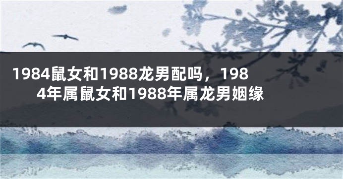 1984鼠女和1988龙男配吗，1984年属鼠女和1988年属龙男姻缘