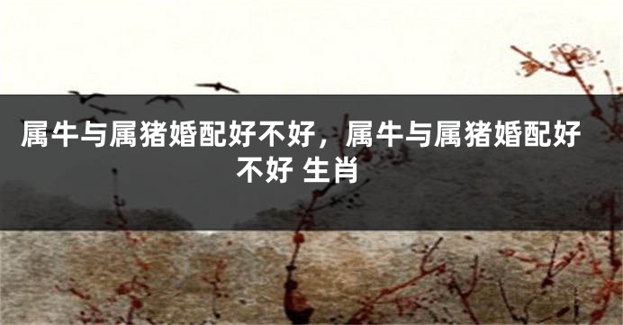 属牛与属猪婚配好不好，属牛与属猪婚配好不好 生肖