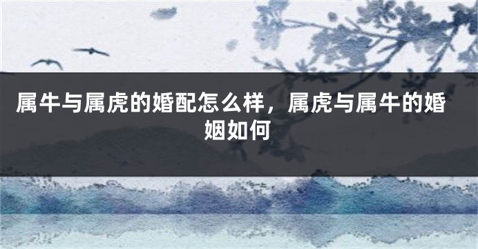 属牛与属虎的婚配怎么样，属虎与属牛的婚姻如何