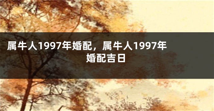 属牛人1997年婚配，属牛人1997年婚配吉日